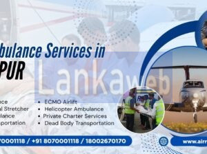 Air Ambulance Services In Dimapur urgent times