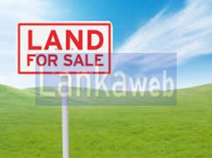 20 Perch Land for Sale – Piliyandala