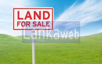20 Perch Land for Sale – Piliyandala
