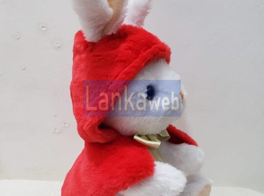 Handmade Soft Toy Red Riding Bunny