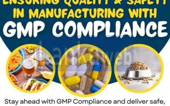 Get GMP Certification Services in Austin